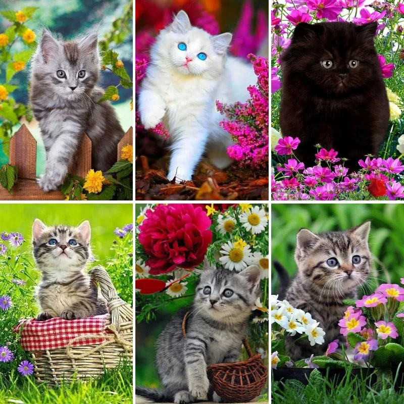 DIY 5D Diamond Painting Kits B - Wallpaper Art And Craft のレビューと価格