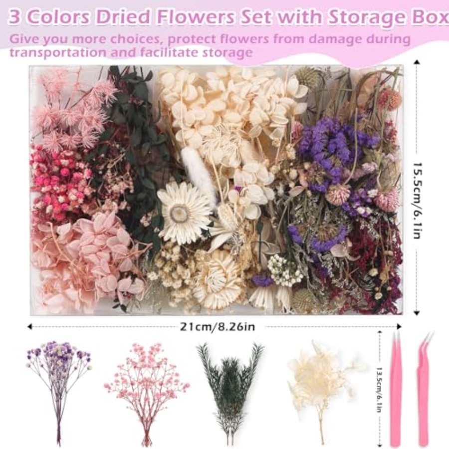 Real Dried Flowers 100% Natura - The Art And Craft Of Jewelry のレビューと価格