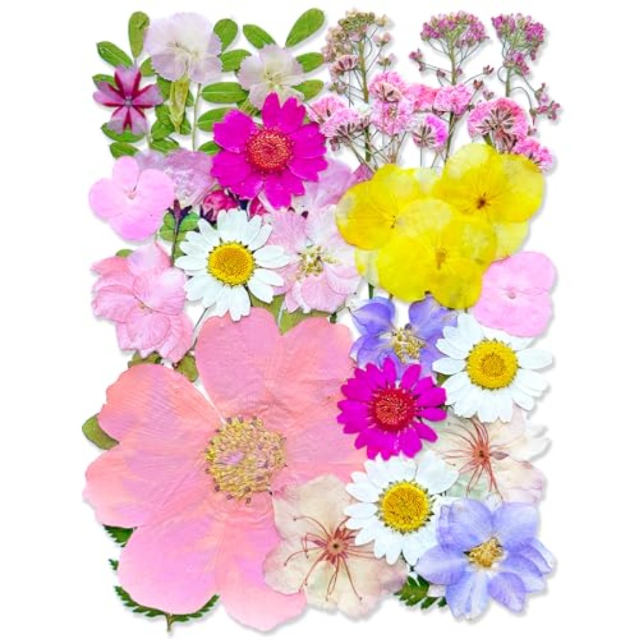 Pink Pressed Dried Flowers for - The Art And Craft Of Jewelry のレビューと価格
