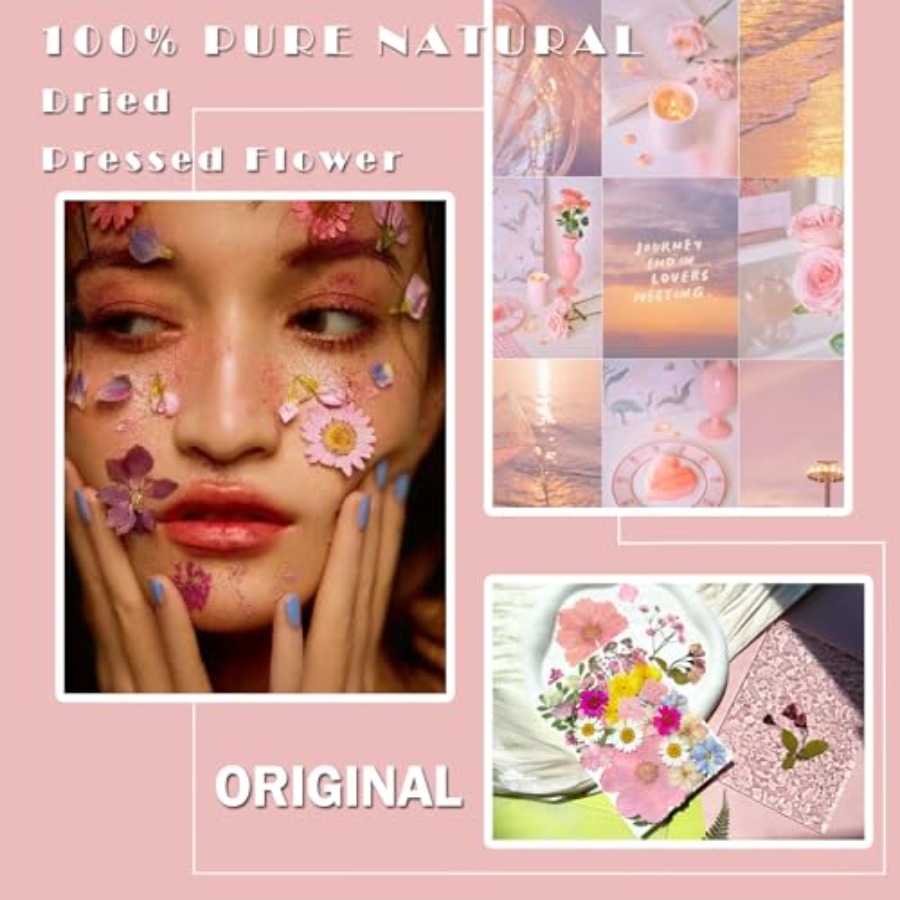 Pink Pressed Dried Flowers for - The Art And Craft Of Jewelry のレビューと価格