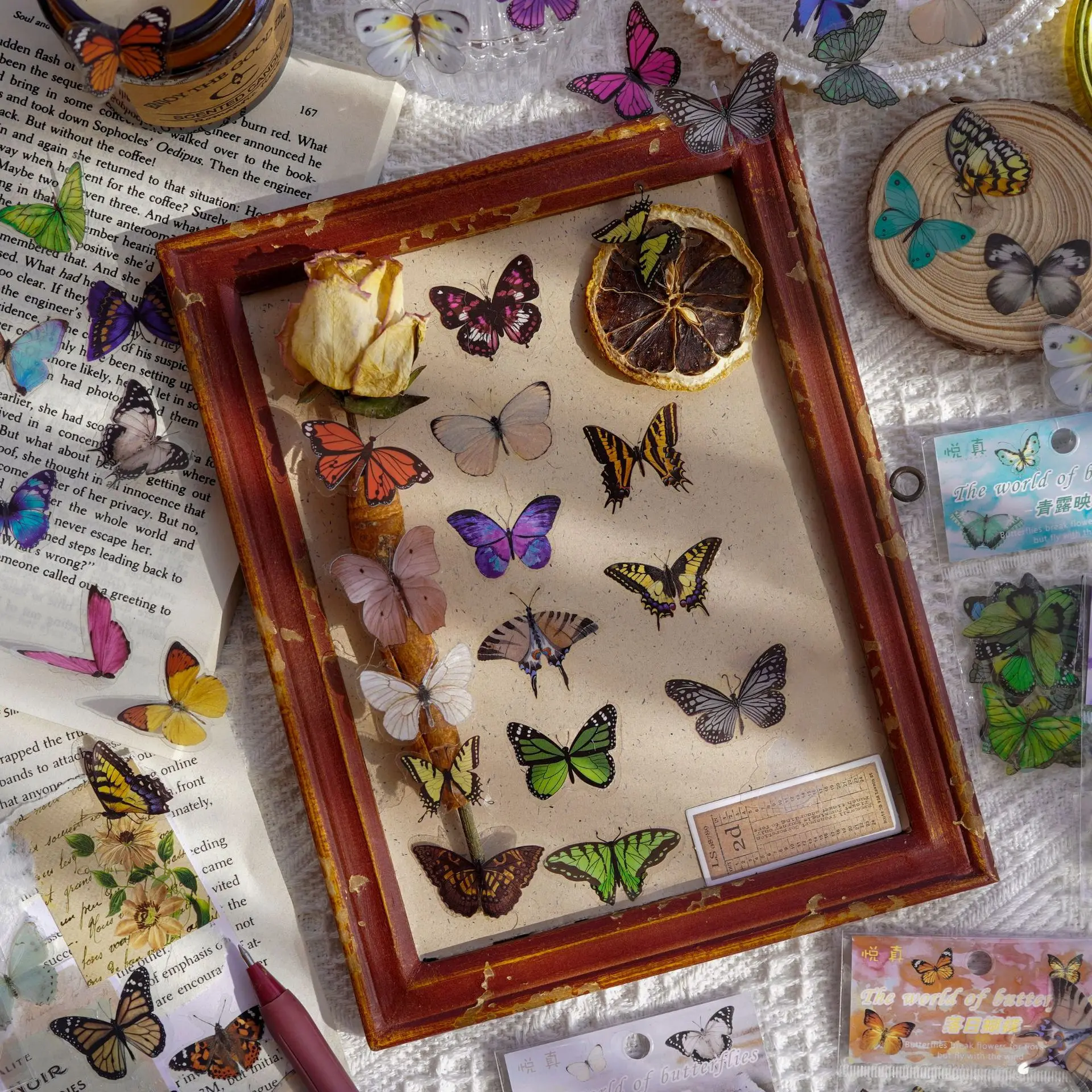 Journamm 40pcs/pack Butterfly  - Art Craft 3 Year Old のレビューと価格